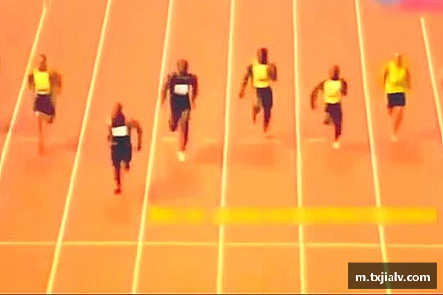 发现必一运动官网